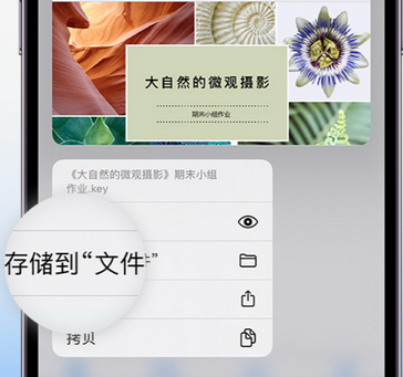 宝鸡apple维修中心分享iPhone文件应用中存储和找到下载文件