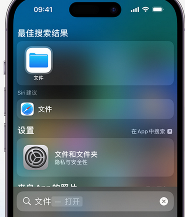 宝鸡apple维修中心分享iPhone文件应用中存储和找到下载文件