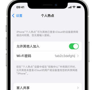 宝鸡apple服务站点分享iPhone上个人热点丢失了怎么办 