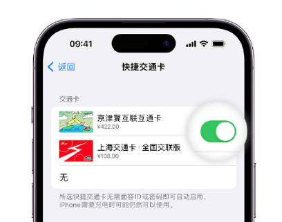 宝鸡apple维修点分享iPhone上更换Apple Pay快捷交通卡手绘卡面 