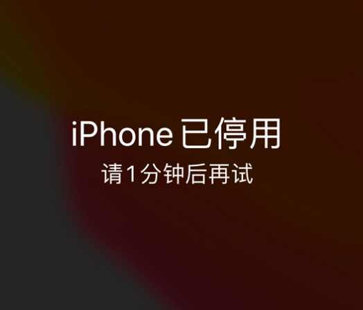 宝鸡苹果手机维修分享:iPhone 显示“不可用”或“已停用”怎么办？还能保留数据吗？ 