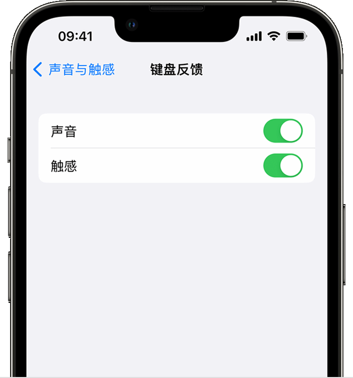 宝鸡苹果14维修店分享如何在 iPhone 14 机型中使用触感键盘 