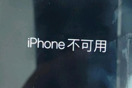 宝鸡苹果服务网点分享锁屏界面显示“iPhone 不可用”如何解决 