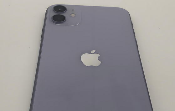 宝鸡苹果11系统维修分享iPhone11手机系统崩溃无法开机如何解决