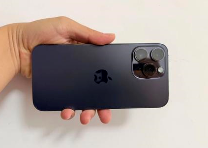 宝鸡苹果维修点分享iPhone 14 Pro Max黑屏少见故障盘点 